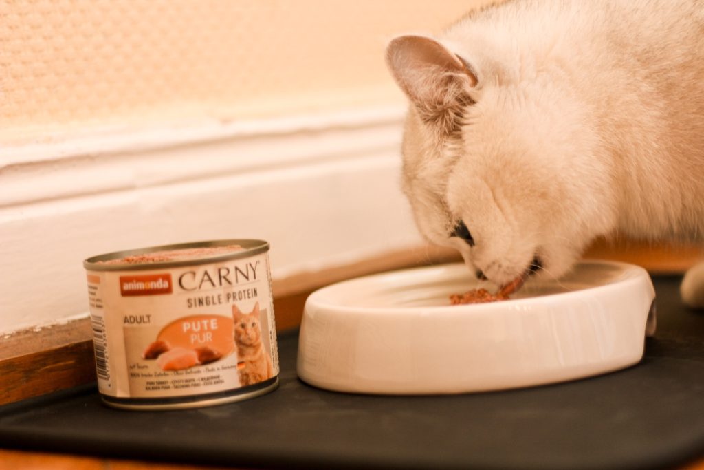 Hochwertiges Nassfutter für Katzen
